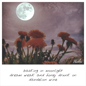 HAIKU_20150528_200800
